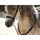 https://www.equus-tour.com/data/item/1736386673/thumb-653x4907_80x80.jpg